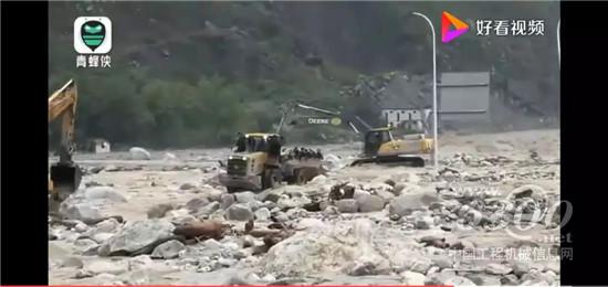 抗洪救灾 再现小鹿身影