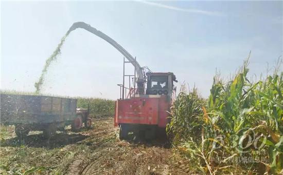 内蒙古青贮收获季“出勤王”