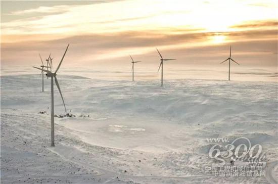大风越狠，我心越安