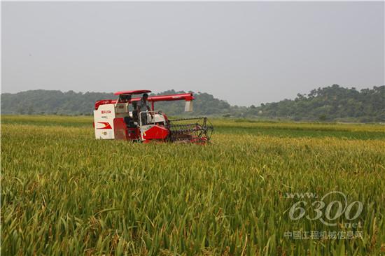 跨区收获夫妻档，浓浓雷沃谷神情