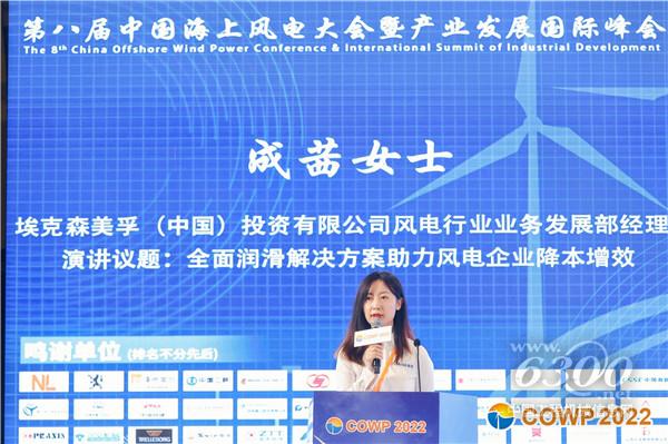 埃克森美孚(中国)风电行业业务发展部经理成茜在大会上发言