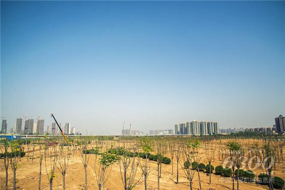 郑州探寻首批<a href=//product.d1cm.com/brand/xcmg/ target=_blank>徐工</a>G一代车主（四）