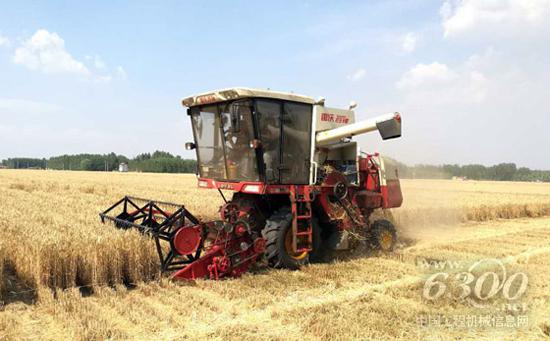 正在作业的雷沃谷神收割机