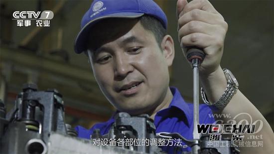 铁汉柔情 为你而行