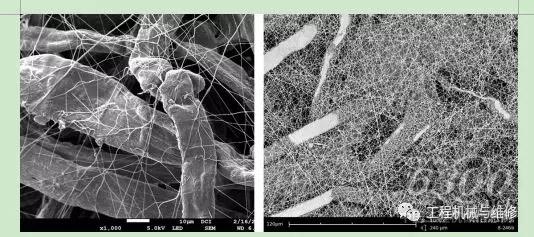 左边为唐纳森Ultra-Web滤材；右边为Ultra-Web HD滤材放大图