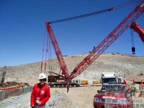 智利BURGER公司工作人员