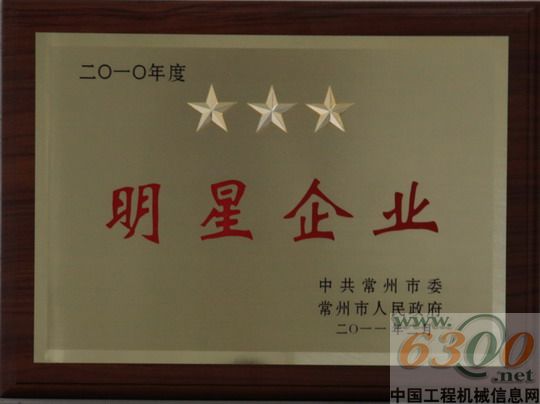 薛国俊董事长获得的优秀企业家奖章