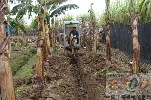 玉柴,挖掘机