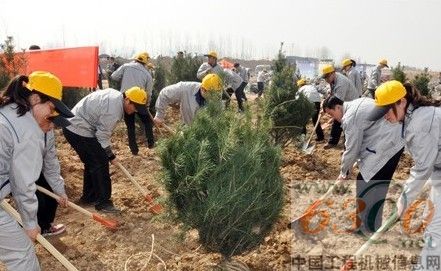 临工,公益,植树